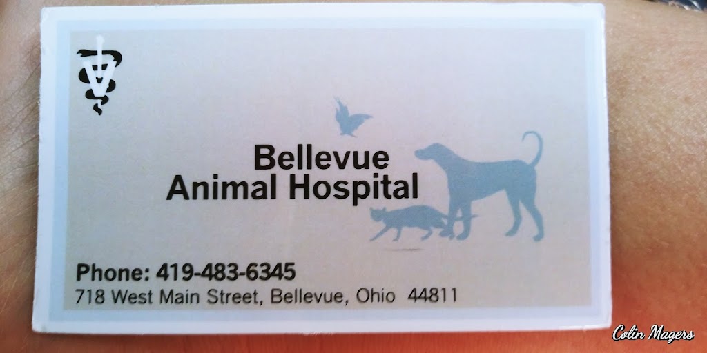 Bellevue Animal Hospital | 718 W Main St, Bellevue, OH 44811, USA | Phone: (419) 483-6345