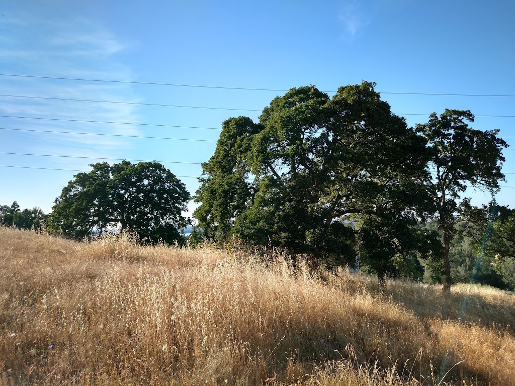 Governors West Park | 2780 El Dorado Hills Blvd, El Dorado Hills, CA 95762, USA | Phone: (916) 933-6624