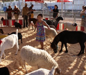 Freckle Farm Petting Zoo (Mobile Service ONLY) | 8982 E Malorie Lane, Coolidge, AZ 85128, USA | Phone: (480) 266-9570