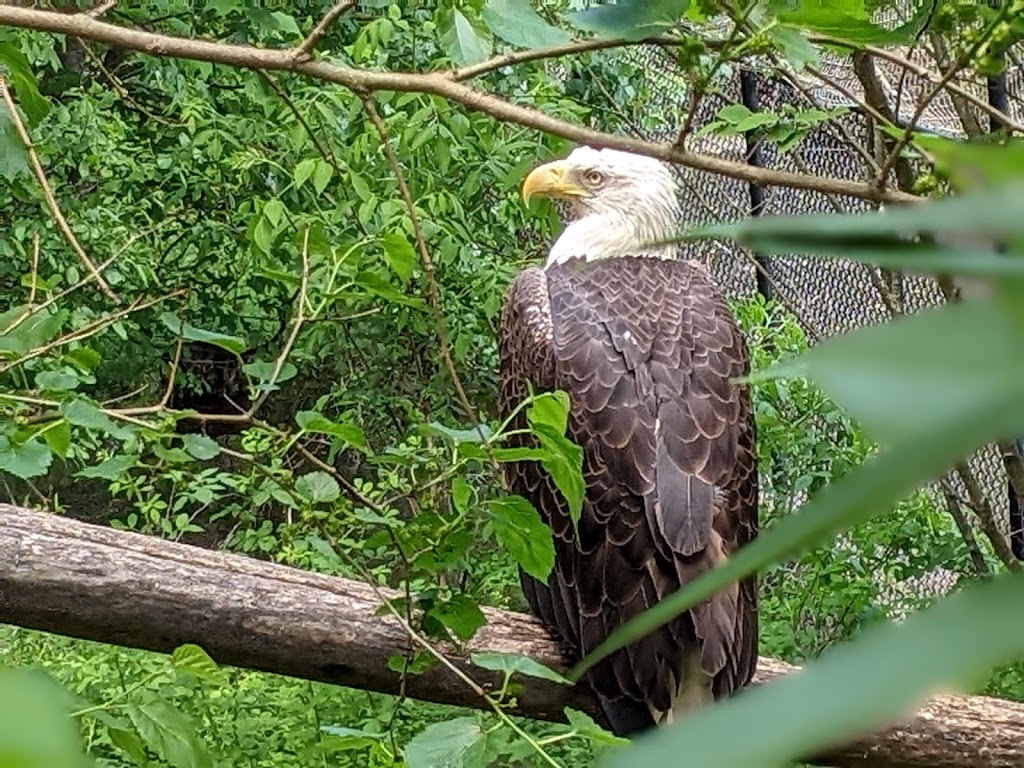 Chattahoochee Nature Center | 9135 Willeo Rd, Roswell, GA 30075, USA | Phone: (770) 992-2055