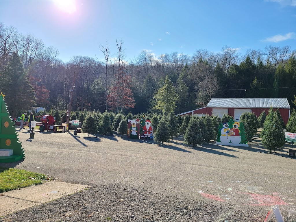 Mytrysak Family Tree Farm and Greenhouse | 1803 Fleming Rd, Indiana, PA 15701, USA | Phone: (724) 463-0570