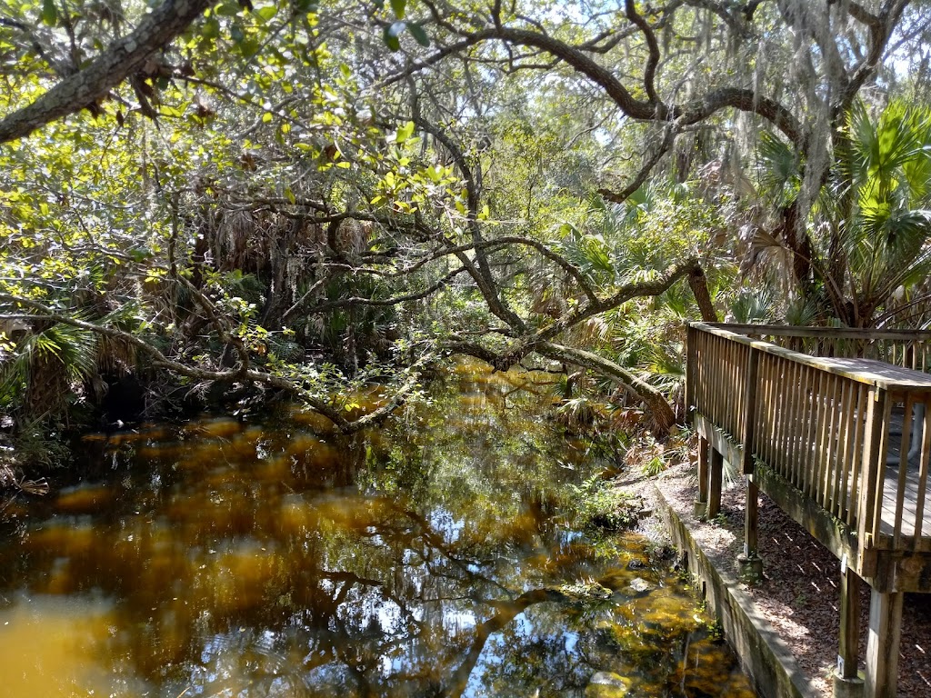 Oscar Scherer State Park | 1843 S Tamiami Trail, Osprey, FL 34229, USA | Phone: (941) 483-5956