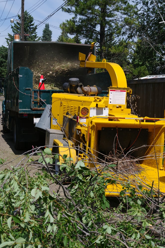 NYC Tree Trimming & Removal Corp | 40 Wall St 52nd Floor, New York, NY 10005, United States | Phone: (212) 882-1379