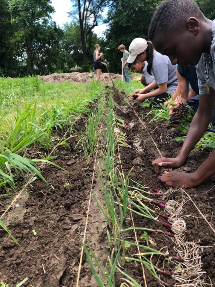 KC Farm School at Gibbs Road | 4223 Gibbs Rd, Kansas City, KS 66106, USA | Phone: (913) 313-8456