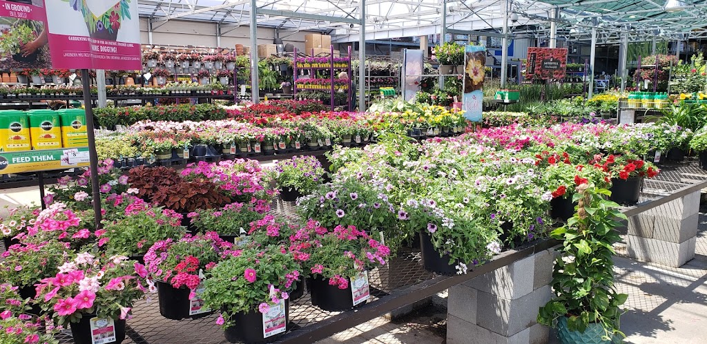 Lowes Garden Center | 3122 I-30, Greenville, TX 75402, USA | Phone: (903) 453-3170