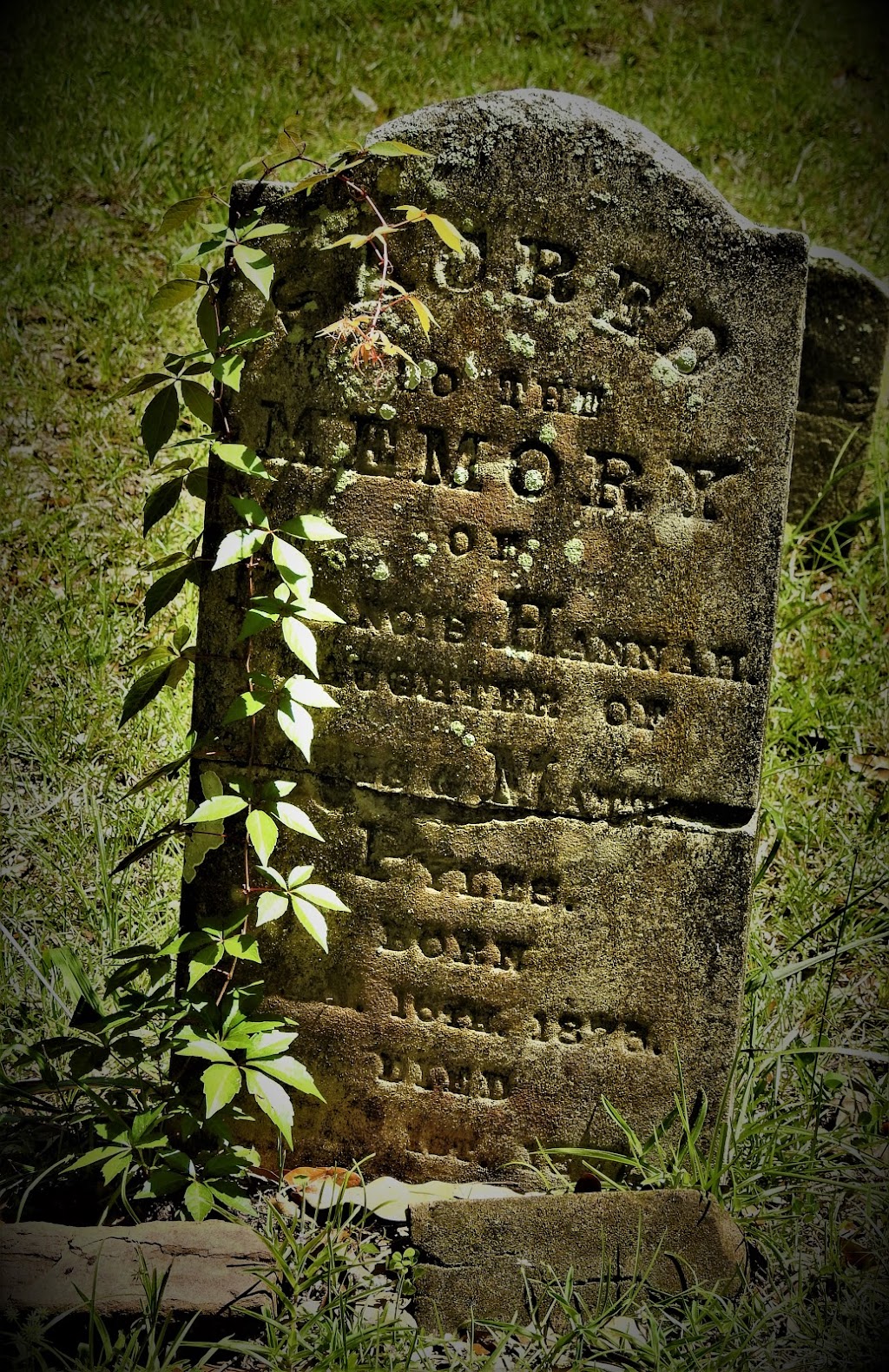 Brooksville Cemetery | 1275 Olmes Rd, Brooksville, FL 34601, USA | Phone: (352) 540-3806