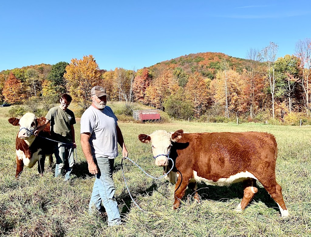 OverEast Family Farm | 480 Beattie Hollow Rd, Salem, NY 12865, USA | Phone: (518) 321-3184