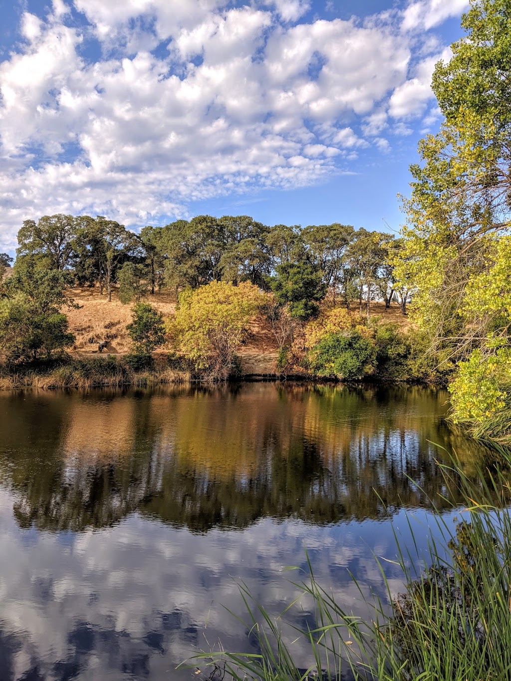 Hidden Valley Park | Redwood Dr & Center Avenue, Martinez, CA 94553, USA | Phone: (925) 372-3510