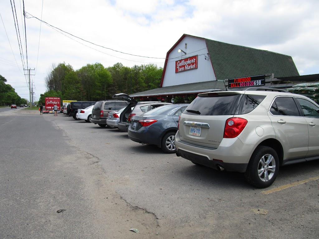 Gallaghers Farm Market | 346 Hwy 20 W, Fenwick, ON L0S 1C0, Canada | Phone: (905) 892-0698
