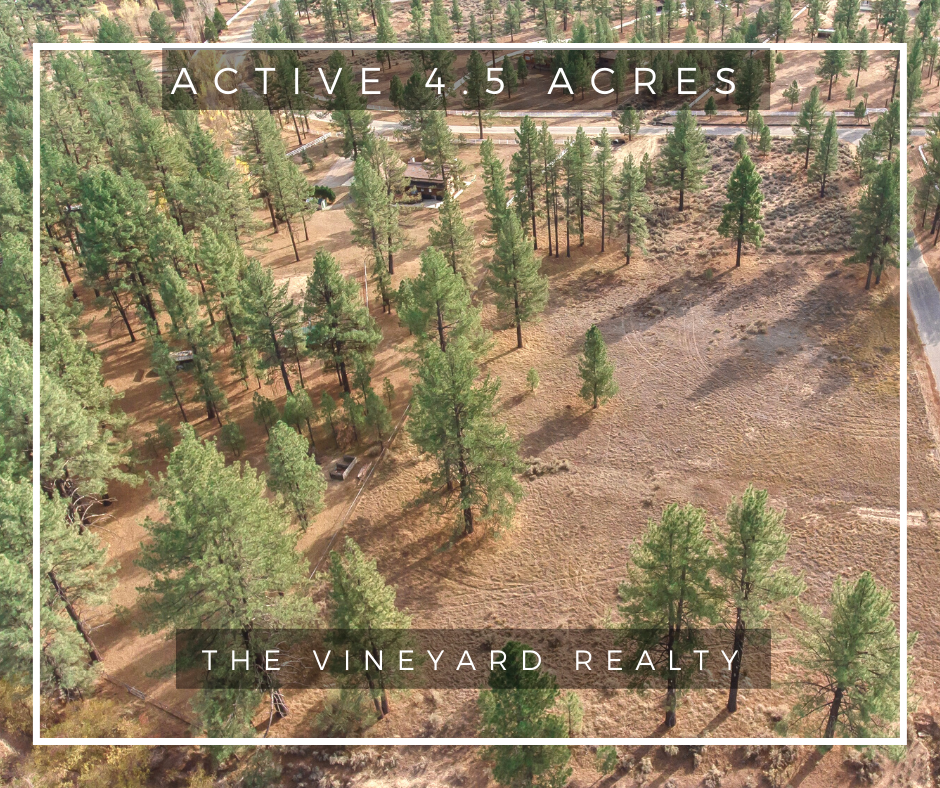 THE VINEYARD REALTY | 39381 Los Alamos Rd d, Murrieta, CA 92563, USA | Phone: (951) 719-0525