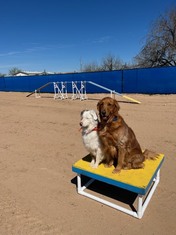 Legend Acres Agility Course Dog Park | 25038 N 195th Ave, Wittmann, AZ 85361, USA | Phone: (931) 516-3064