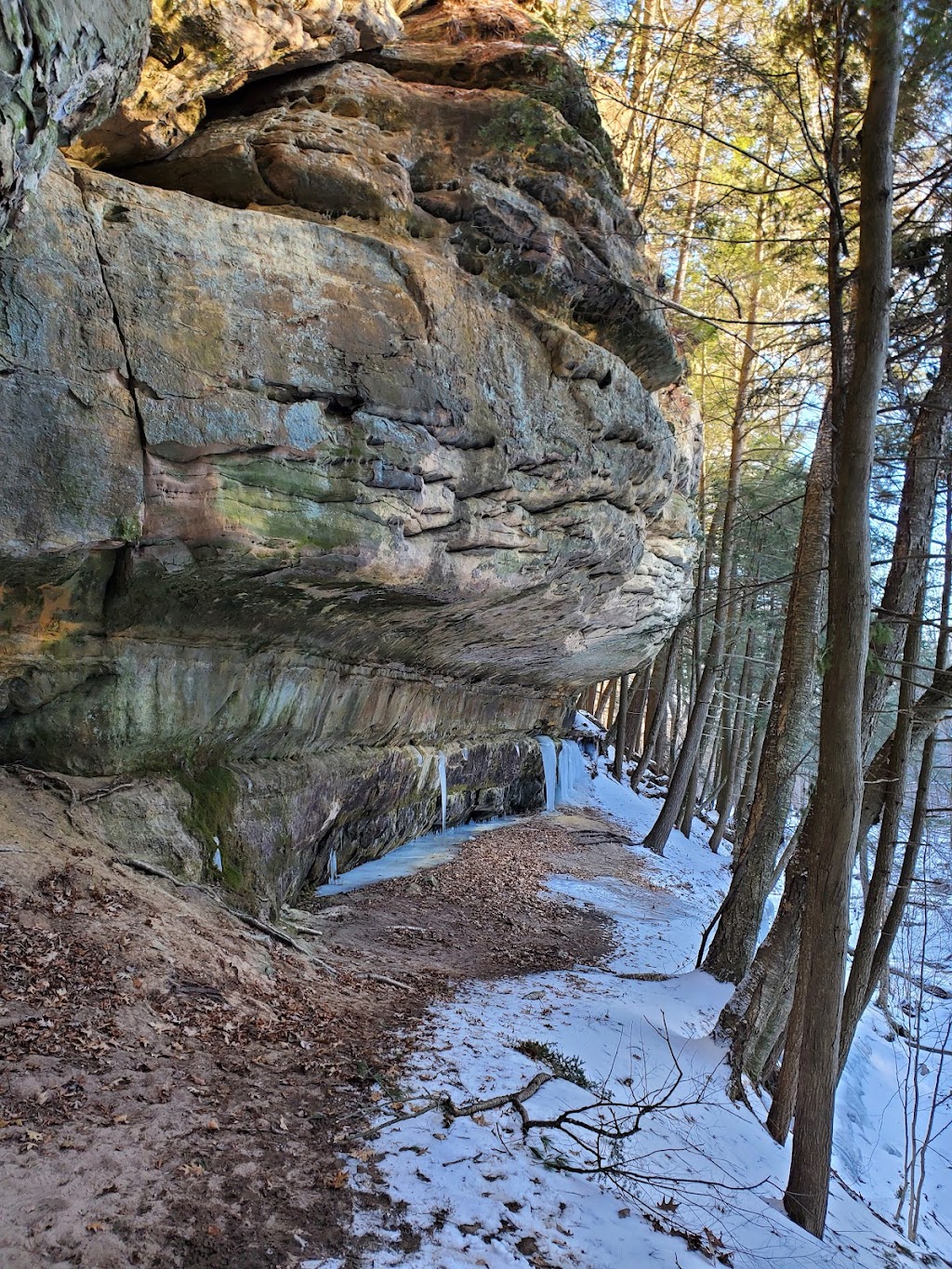 Pine Hollow State Natural Area | North Freedom, WI 53951, USA | Phone: (608) 356-5300