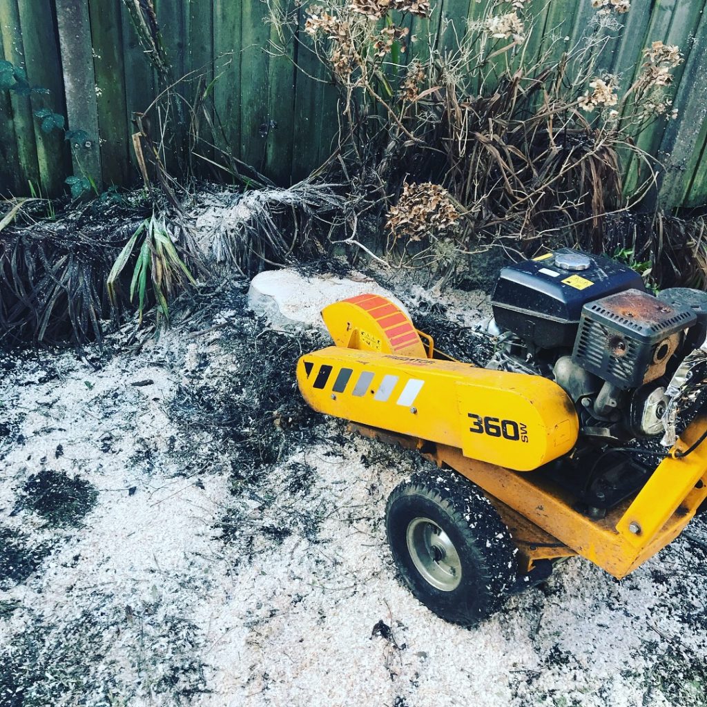 Cardiff Tree Surgery | 2 Hillcrest Cl, Llanishen, Cardiff CF14 9ER, United Kingdom | Phone: 0800 955 7233