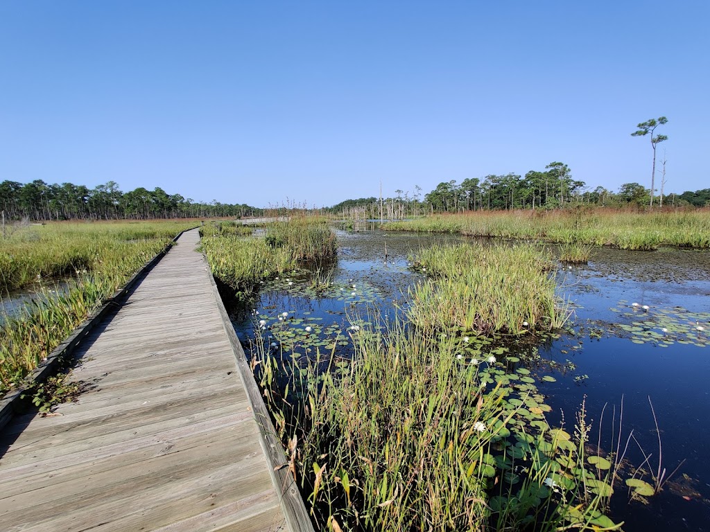 Big Branch Marsh National Wildlife Refuge | 61389 LA-434, Lacombe, LA 70445, USA | Phone: (985) 882-2000