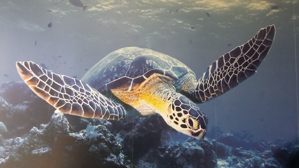 Aqua Fil | 101 Friction Dr SW, Cartersville, GA 30120, USA | Phone: (770) 387-0203