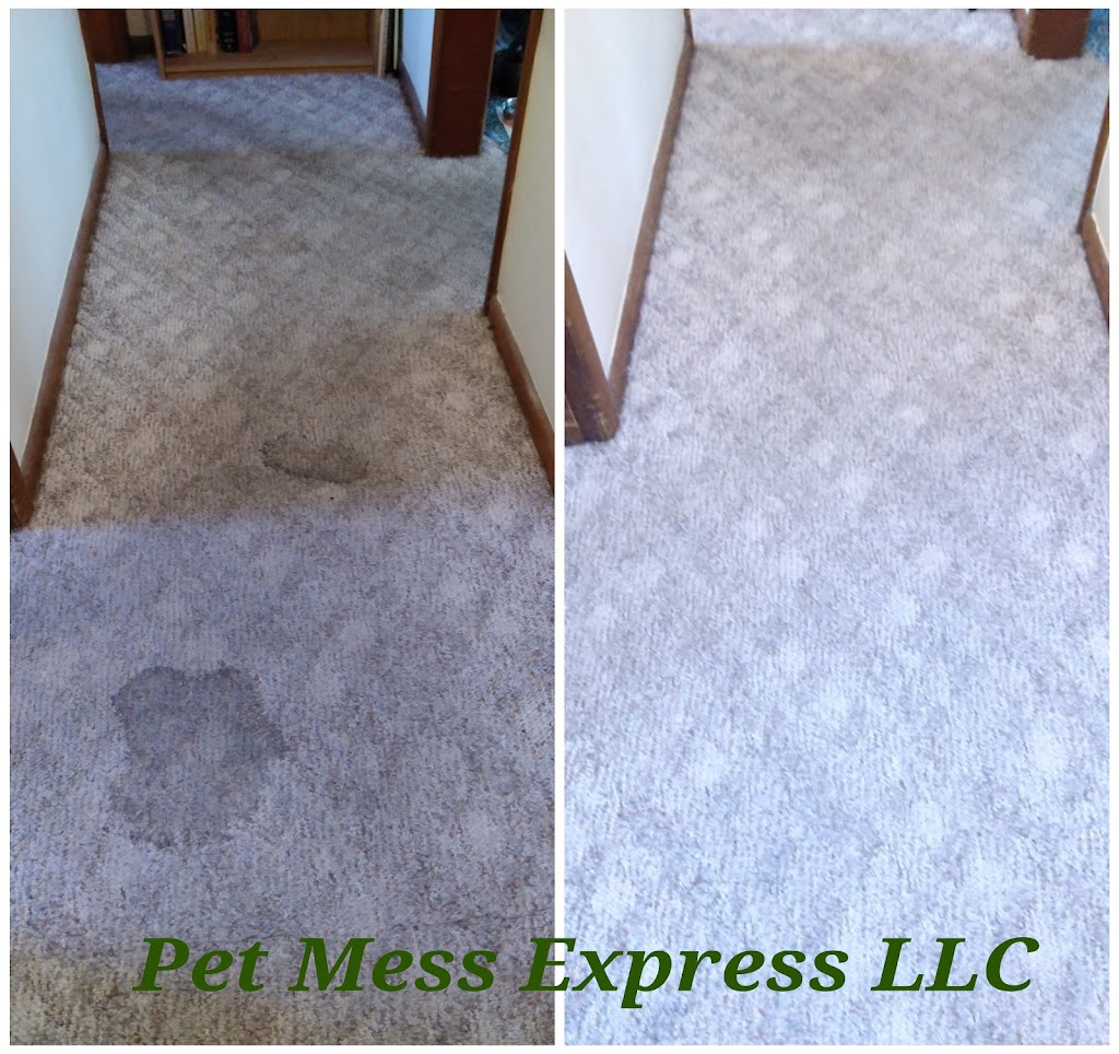 Pet Mess Express | 120 Washington St, Carlisle, KY 40311, USA | Phone: (808) 372-2685
