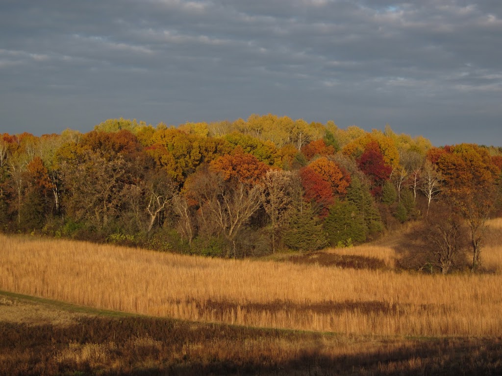 Belwin Conservancy: Stagecoach Prairie | 825 Stagecoach Trail S, Afton, MN 55001, USA | Phone: (651) 436-5189