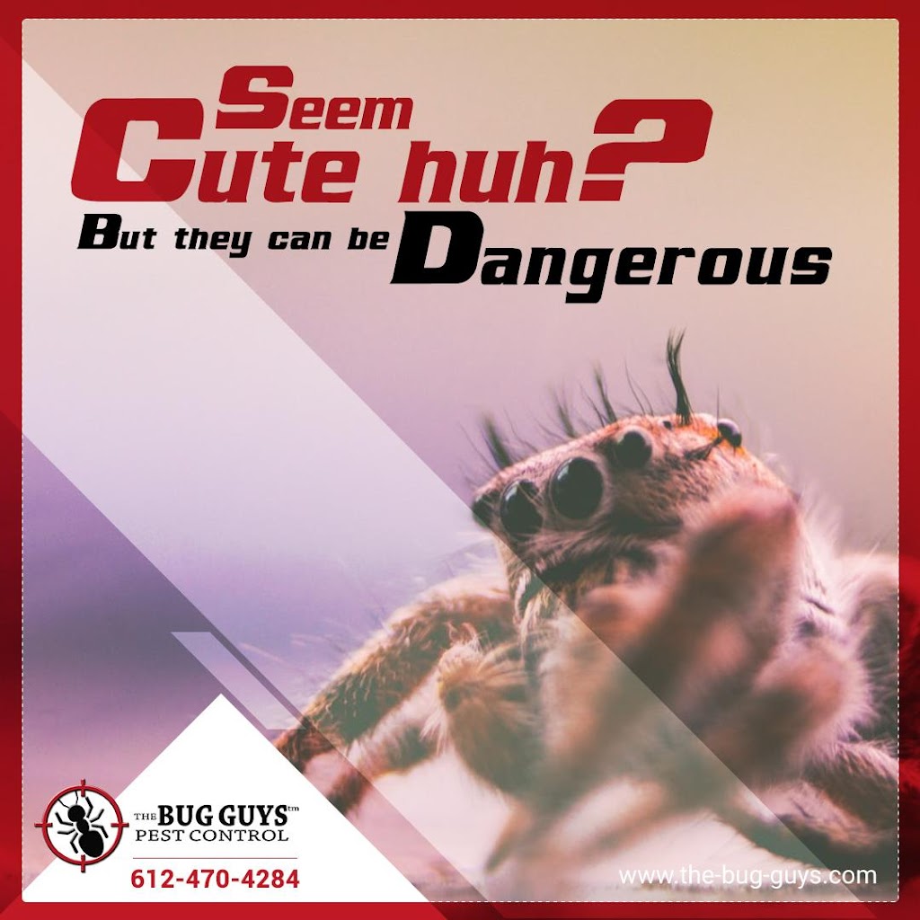 The Bug Guys | 2400 Interlachen Rd, Spring Park, MN 55384, USA | Phone: (612) 470-4284