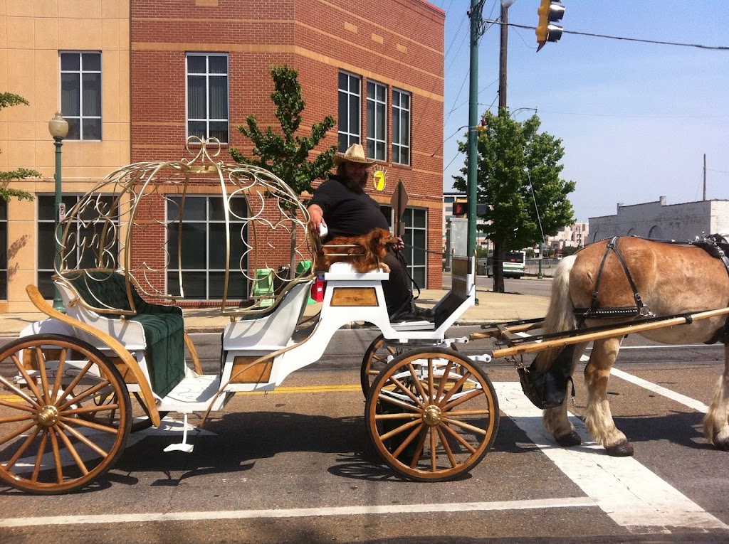 Uptown Carriage Co. - Carriage Rides Memphis | 1051 N 2nd St, Memphis, TN 38107, USA | Phone: (901) 496-2128