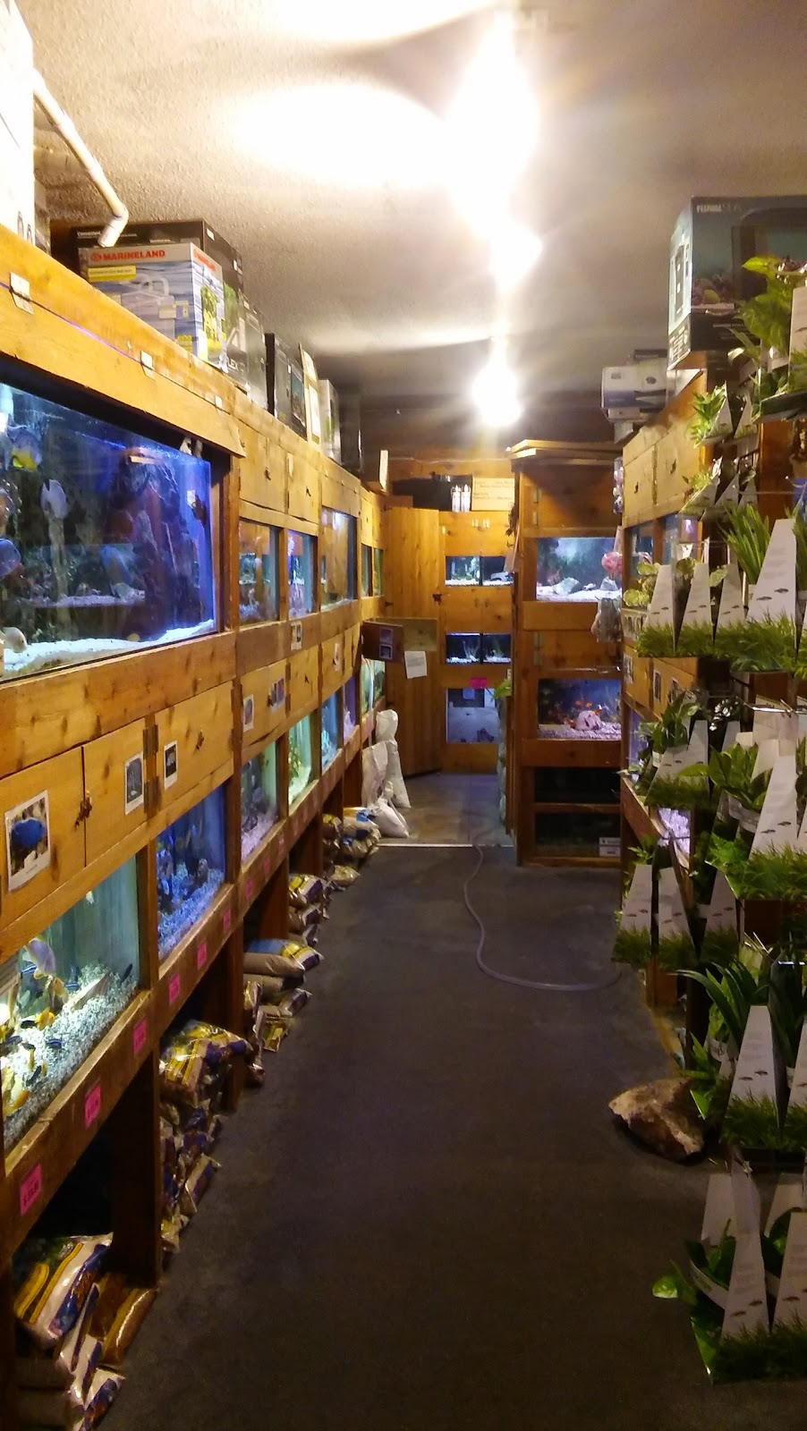 A World of Fish | 1516 E 66th St, Richfield, MN 55423, USA | Phone: (612) 866-2026