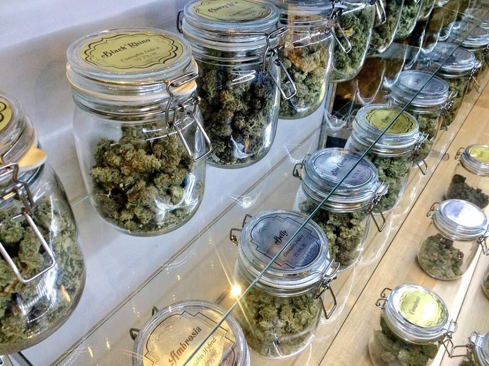 Pacific Green | 710 NE Killingsworth St, Portland, OR 97211, USA | Phone: (971) 242-8535