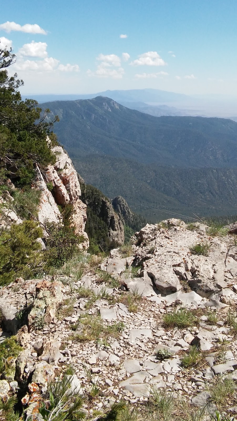 Ellis Trailhead | Sandia Crest Scenic Hwy, Cedar Crest, NM 87008, USA | Phone: (505) 281-3304