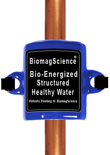 BiomagScience | 2621 Holicong Rd, Doylestown, PA 18902, USA | Phone: (215) 862-6777