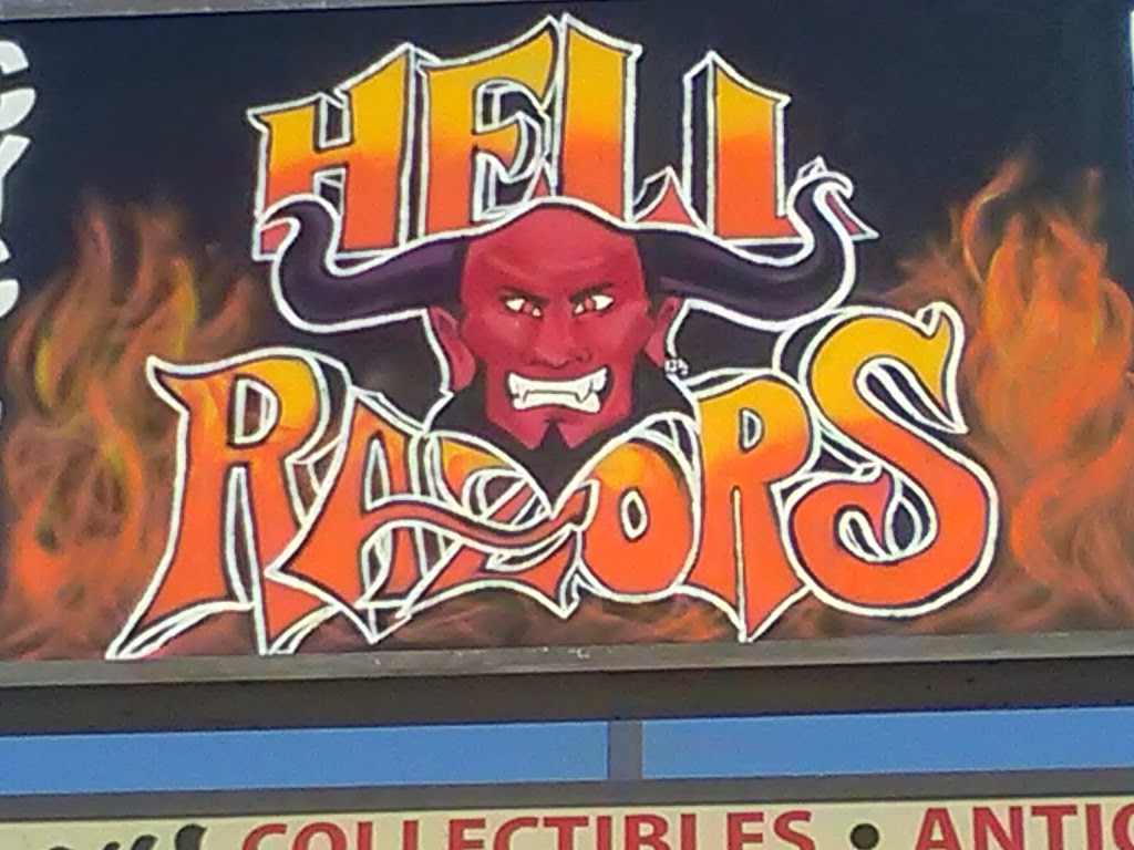 Hellrazors cycles | 381 Pershing Ave, Leechburg, PA 15656, USA | Phone: (724) 994-0002