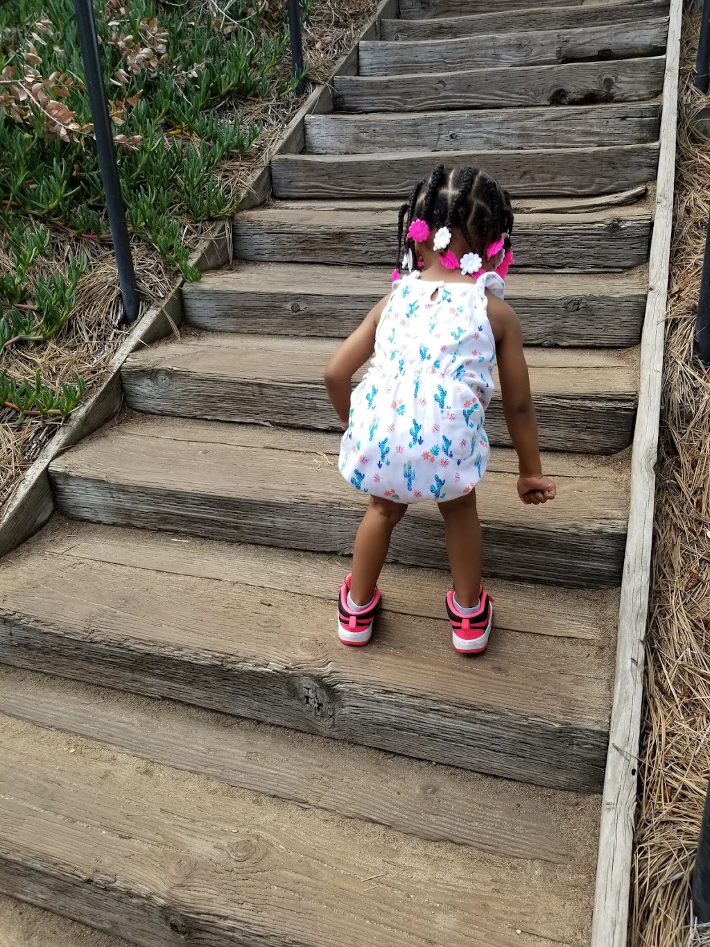 Sand Dune Park | 3299 Bell Ave, Manhattan Beach, CA 90266, USA | Phone: (310) 802-5448