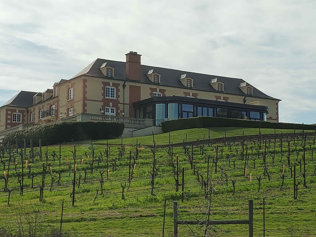 Bacchus Wine Tours & Transportation LLC | 1500 Napa Rd, Sonoma, CA 95476, USA | Phone: (707) 291-3099