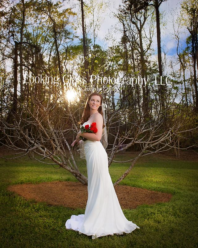 Looking Glass Photography, LLC | 195 Co Rd 449, Verbena, AL 36091, USA | Phone: (205) 646-5975