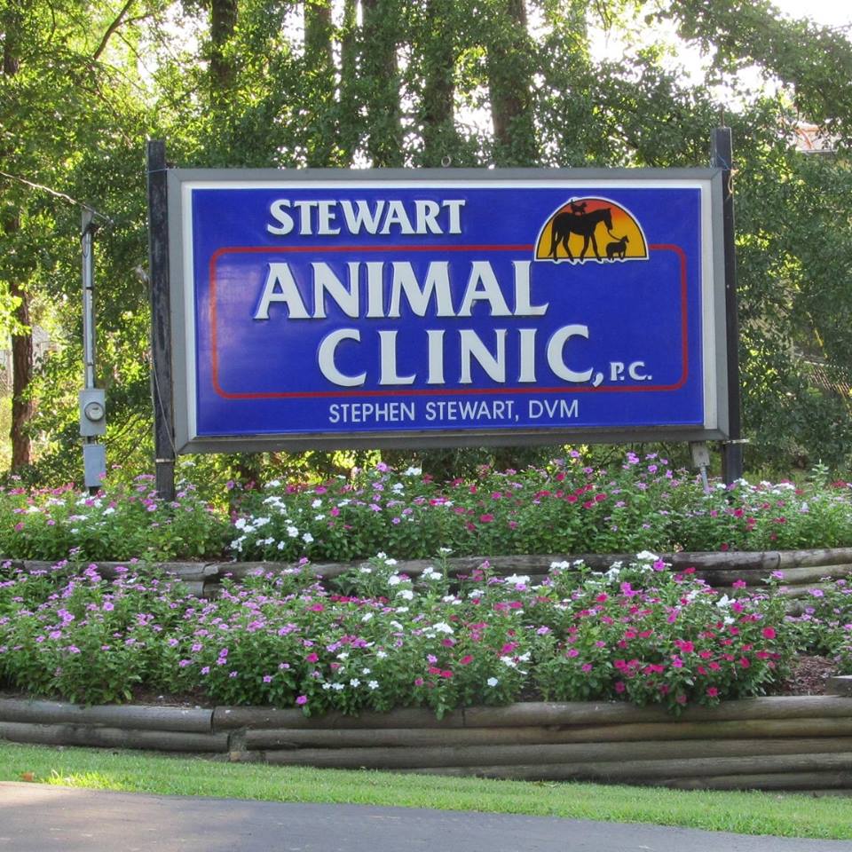 Stewart Animal Clinic | 9630 US-31, Warrior, AL 35180, USA | Phone: (205) 647-8140