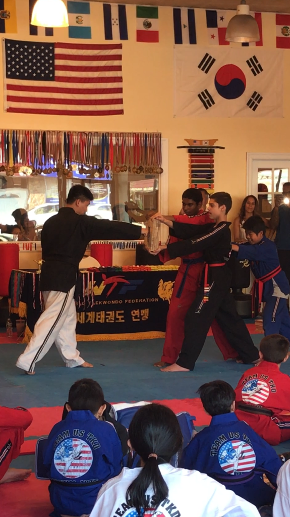 Team US Taekwondo Martial Arts | 245-25 Jericho Turnpike, Queens, NY 11426, USA | Phone: (718) 749-5980