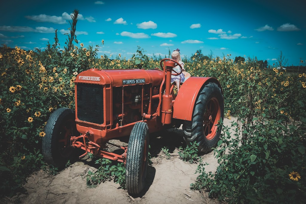 Gust Flower and Produce Farm | 11998 Rodesiler Hwy, Ottawa Lake, MI 49267 | Phone: (517) 605-2209