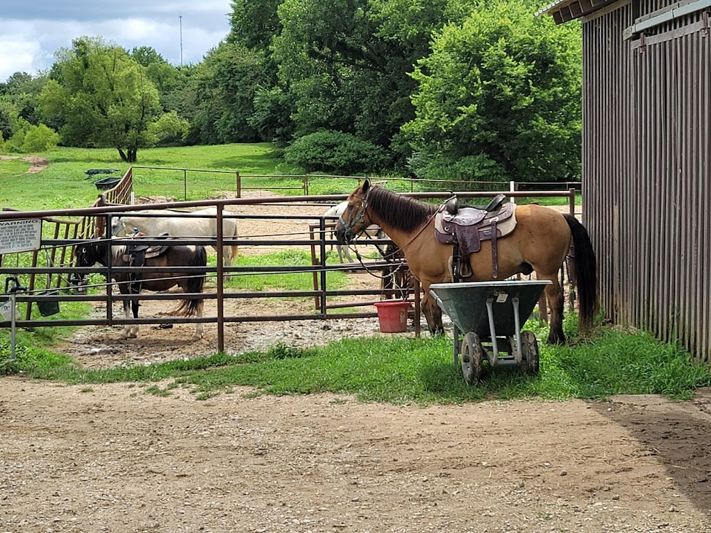 Shelby Farms Stables | N Pine Lake Dr, Cordova, TN 38018, USA | Phone: (901) 647-5793