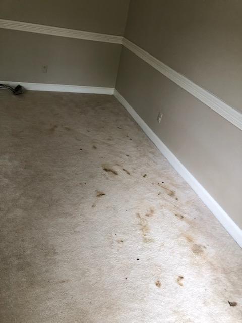 Supreme Carpet Care, Inc. | 789 Seahawk Cir Ste 111, Virginia Beach, VA 23452, USA | Phone: (757) 215-4555