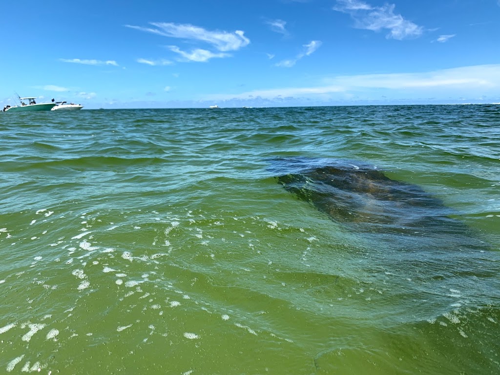 Egmont Key National Wildlife Refuge | St. Petersburg, FL 33715, USA | Phone: (352) 563-2088