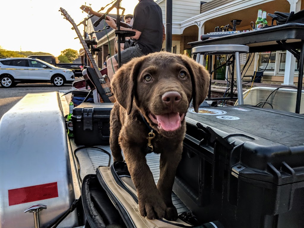 Vyntage Vinyl | 1902 Old W Main St, Red Wing, MN 55066, USA | Phone: (651) 388-5458