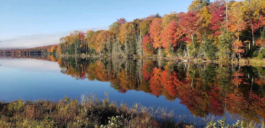 Cabins At Chimney Mountain | County Rd 4, Indian Lake, NY 12842 | Phone: (201) 841-2196