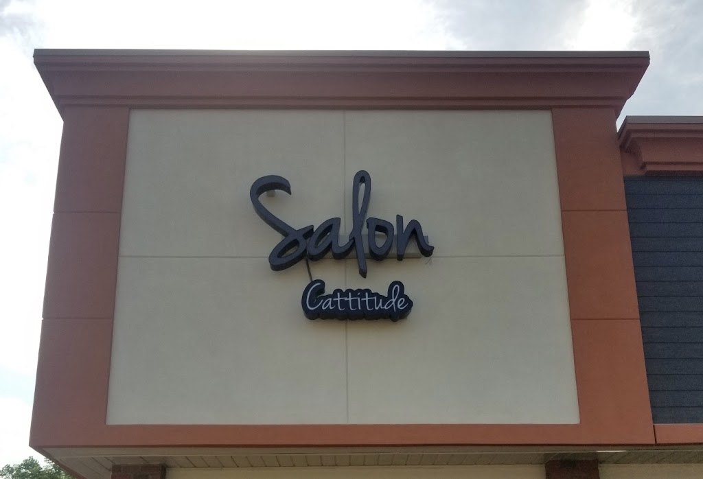 Salon Cattitude | 38119 Ann Arbor Rd, Livonia, MI 48150, USA | Phone: (734) 469-4154