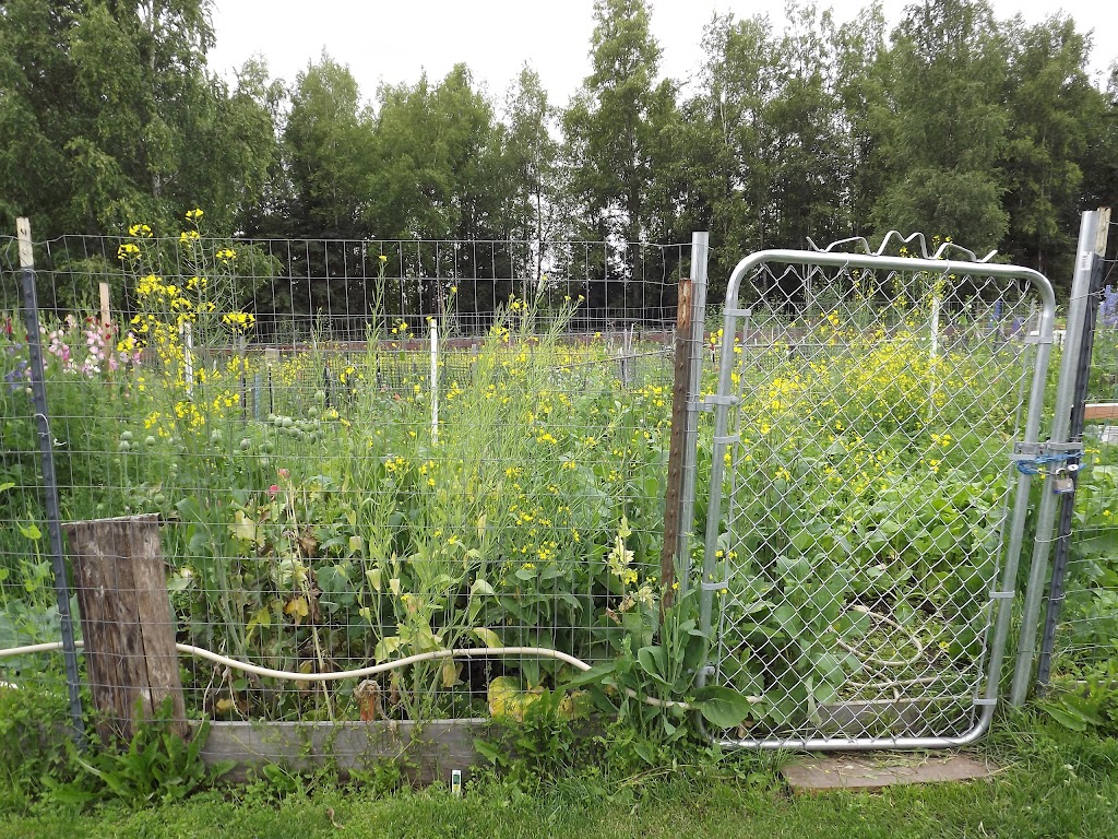 McPhee Community Gardens | McPhee Ave, Anchorage, AK 99501, USA | Phone: (907) 343-4474