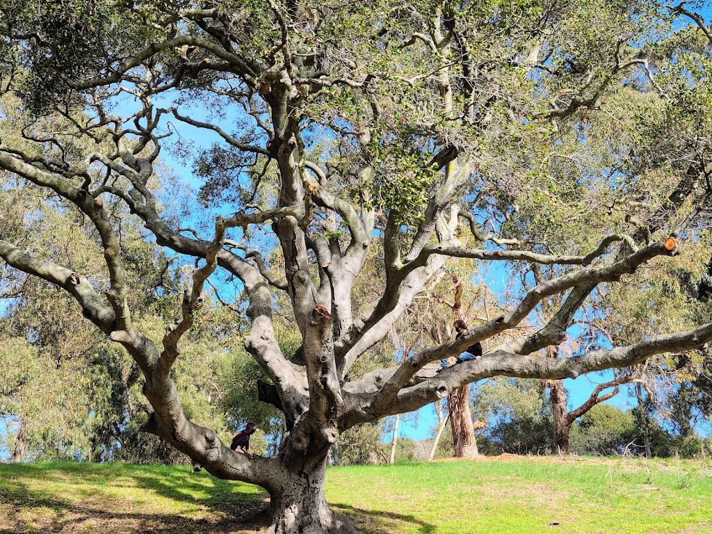 Wildcat Canyon Regional Park | 5755 McBryde Ave, Richmond, CA 94805, USA | Phone: (888) 327-2757