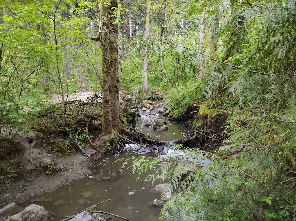 Lowami Hart Woods Natural Area | 14895 SW Hart Rd, Beaverton, OR 97007, USA | Phone: (503) 645-6433