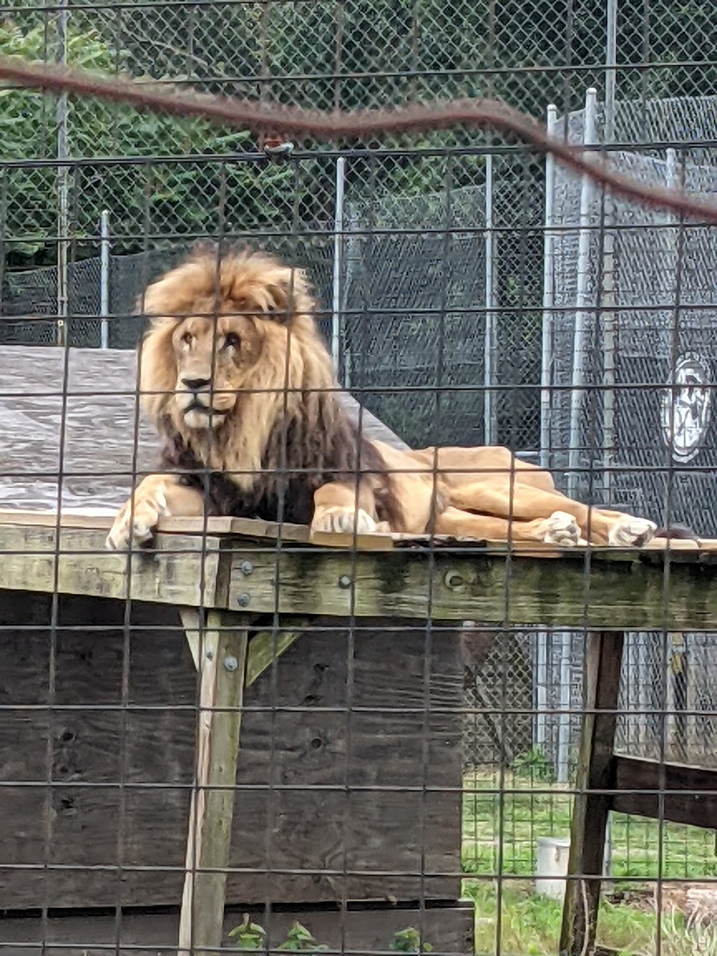 Animal Park at the Conservators Center | 676 E Hughes Mill Rd, Burlington, NC 27217 | Phone: (336) 421-0883