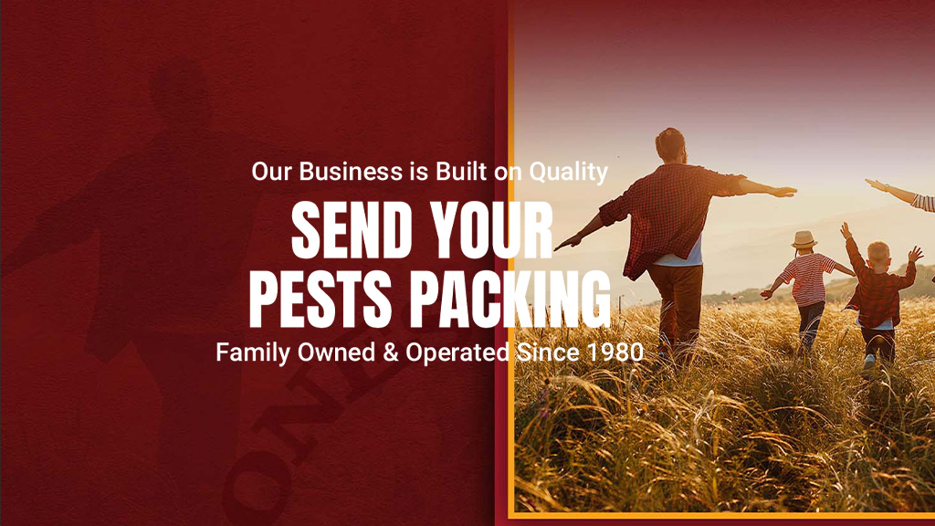 Jones Bros Pest Control, Inc. | 3650 Omec Park Dr, Rancho Cordova, CA 95742, USA | Phone: (916) 852-8800