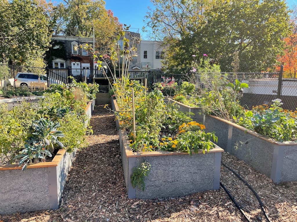 Aberdeen Street Community Garden | 98 Aberdeen St, Brooklyn, NY 11207 | Phone: (212) 333-2552