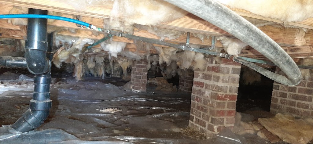 Healthycrawl.space | 1702 Secrest Shortcut Rd, Monroe, NC 28110, USA | Phone: (980) 705-1711