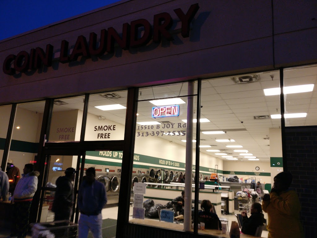 Coin Laundry - Motor City Clean Scene, llc | 15520 Joy Rd, Detroit, MI 48228, USA | Phone: (313) 397-2535