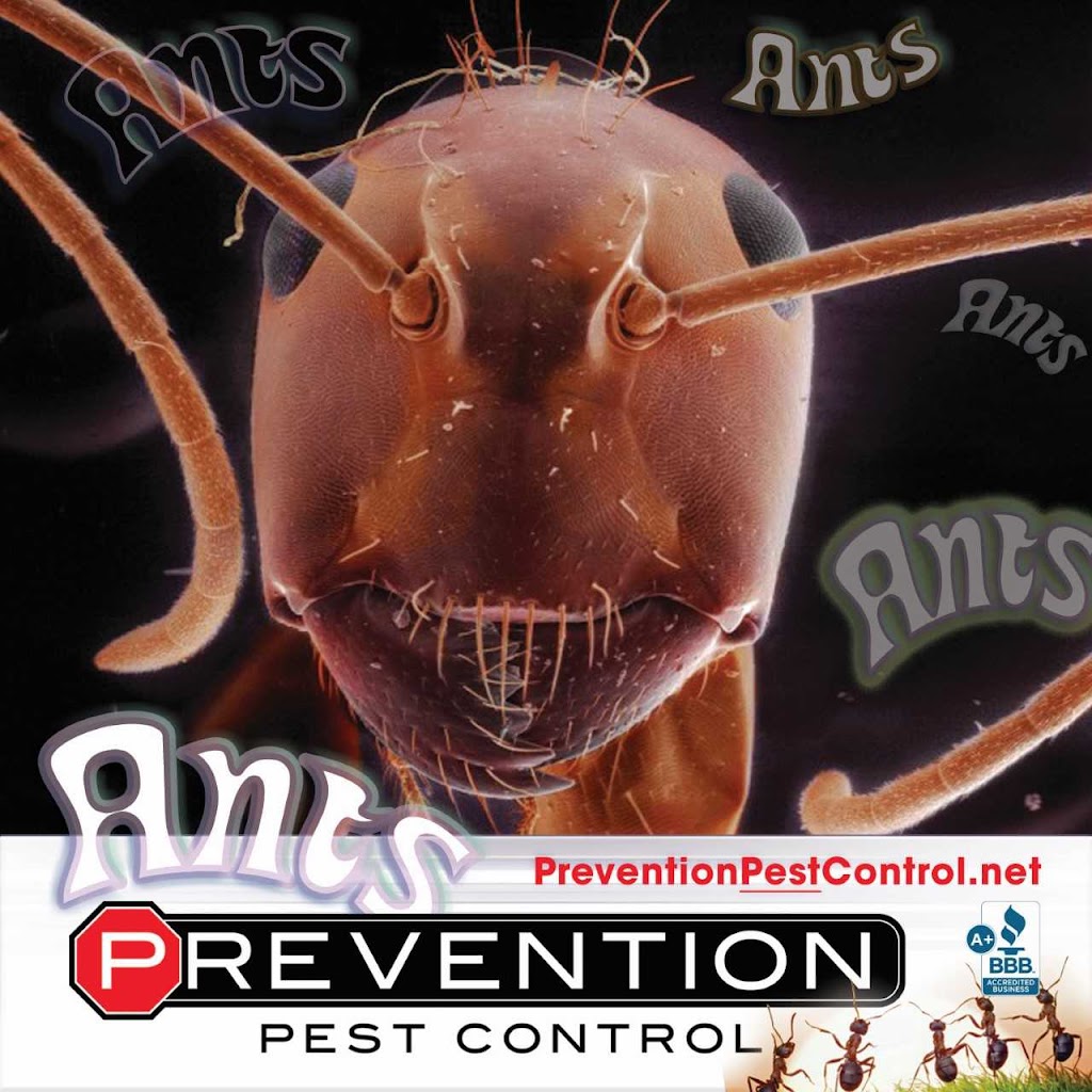 Prevention Pest Control | 321 Ensemble Dr, Cuyahoga Falls, OH 44223, USA | Phone: (234) 571-1203