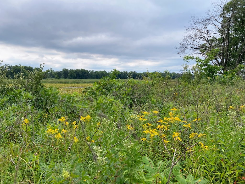 Indiana Dunes National Park West Beach Picnic Area | Gary, IN 46403 | Phone: (219) 395-1882